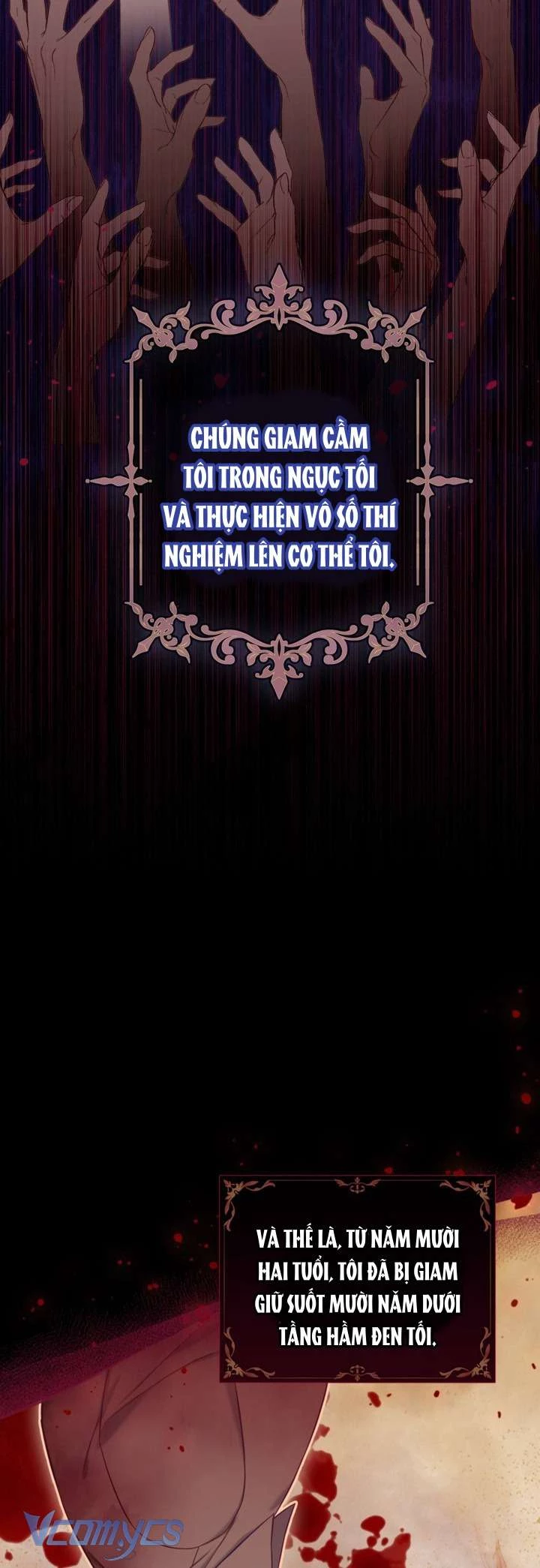 Người Anh Trai Mạnh Nhất Của Tôi Đã Mất Trí Nhớ Chapter 1 - Trang 2