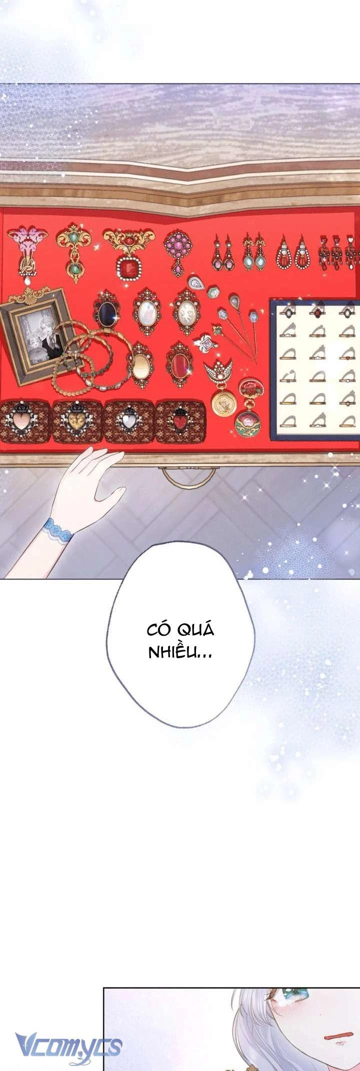 Người Anh Trai Mạnh Nhất Của Tôi Đã Mất Trí Nhớ Chapter 11 - Trang 2