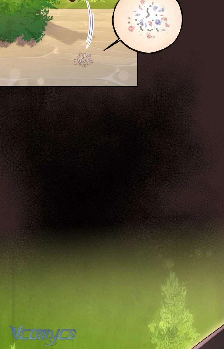 Người Anh Trai Mạnh Nhất Của Tôi Đã Mất Trí Nhớ Chapter 19 - Trang 2