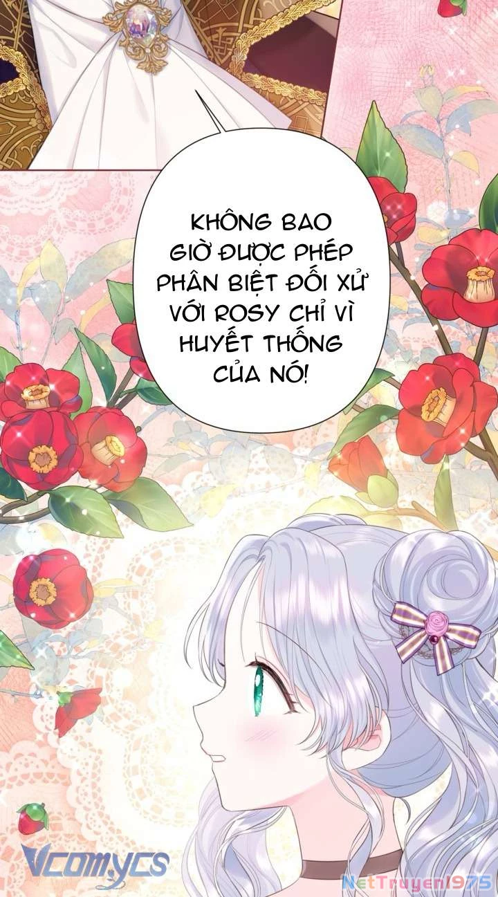 Người Anh Trai Mạnh Nhất Của Tôi Đã Mất Trí Nhớ Chapter 19 - Trang 2