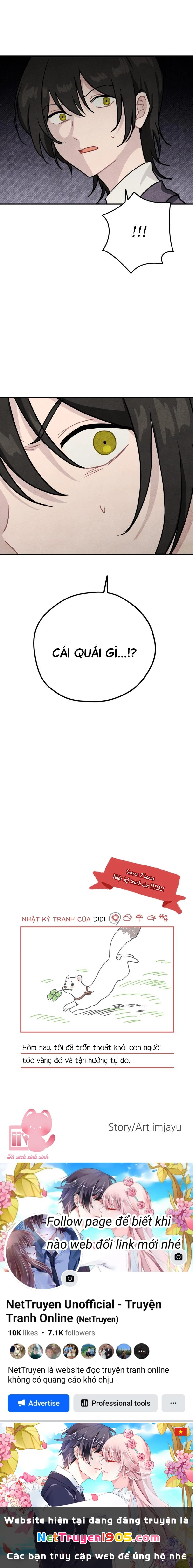 Phù Thủy Độc Dược Chapter 41 - Trang 2