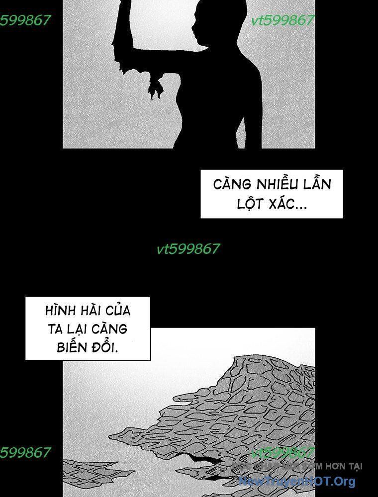 Máu Lạnh Chapter 51 - Trang 2