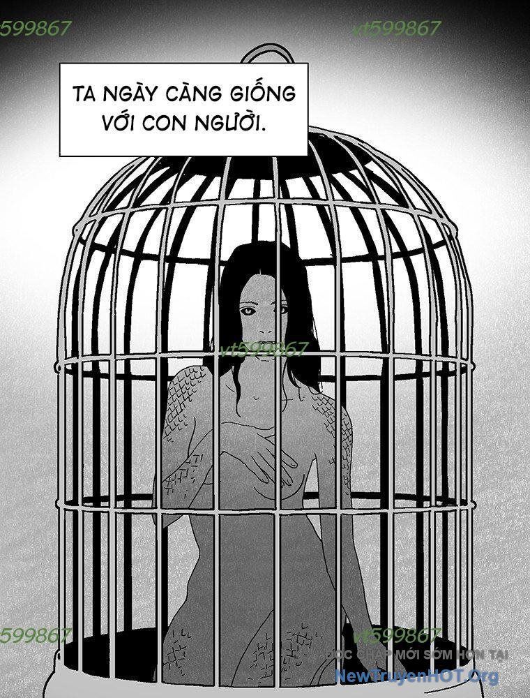 Máu Lạnh Chapter 51 - Trang 2