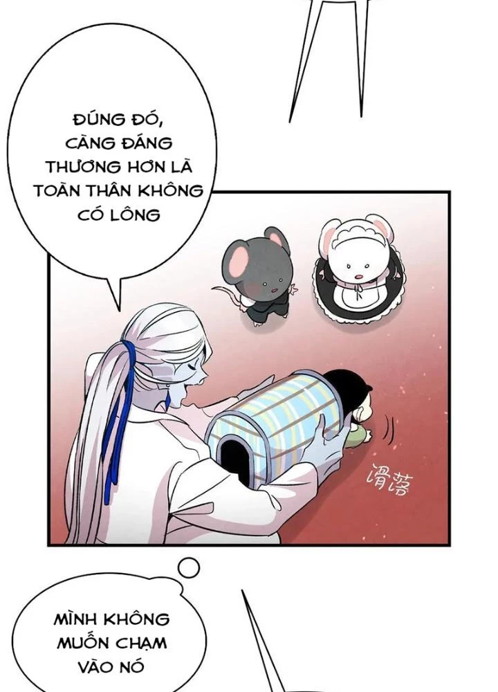 Skeleton Làm Bố Chapter 53 - Trang 2