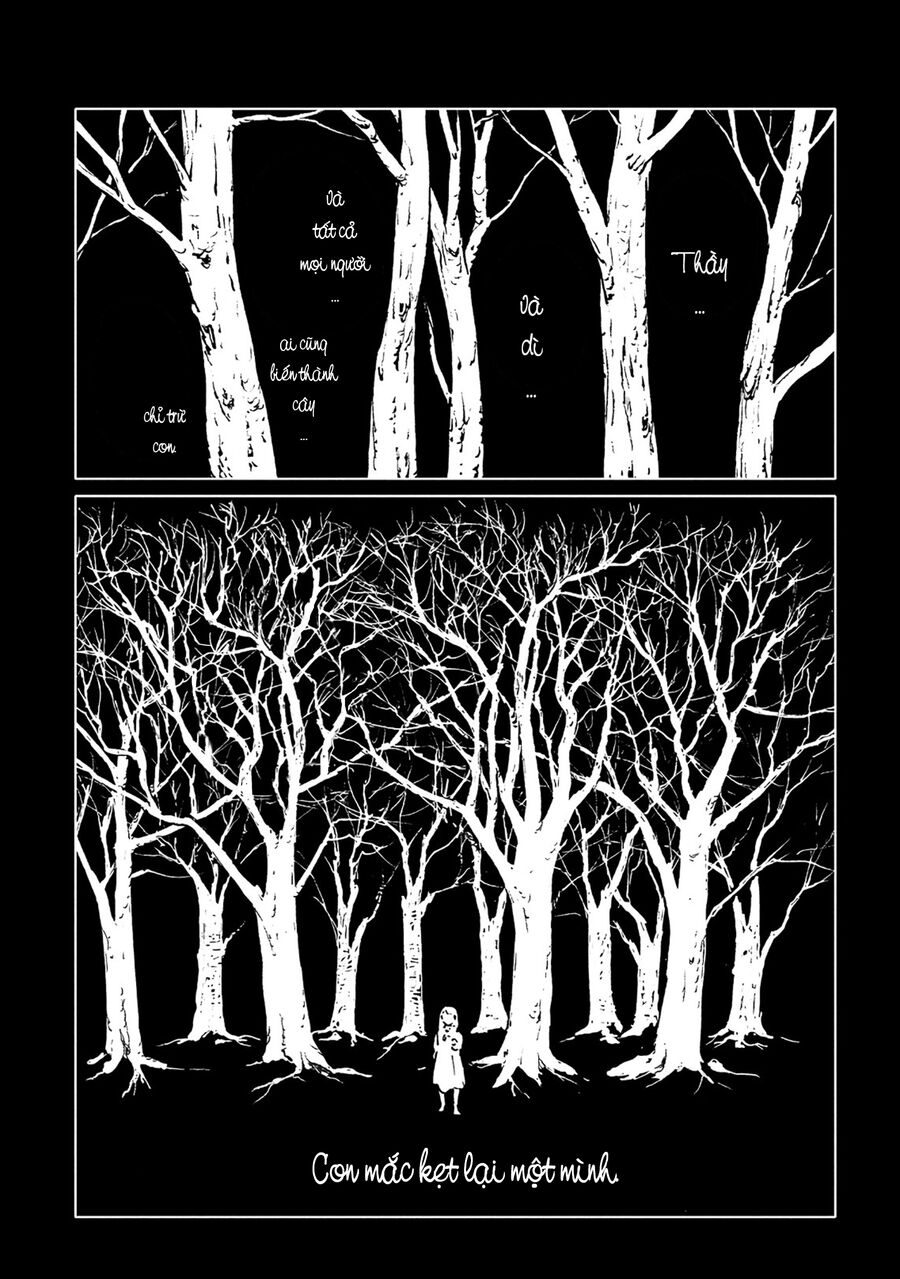 Totsukuni No Shoujo Chapter 24 - Trang 2