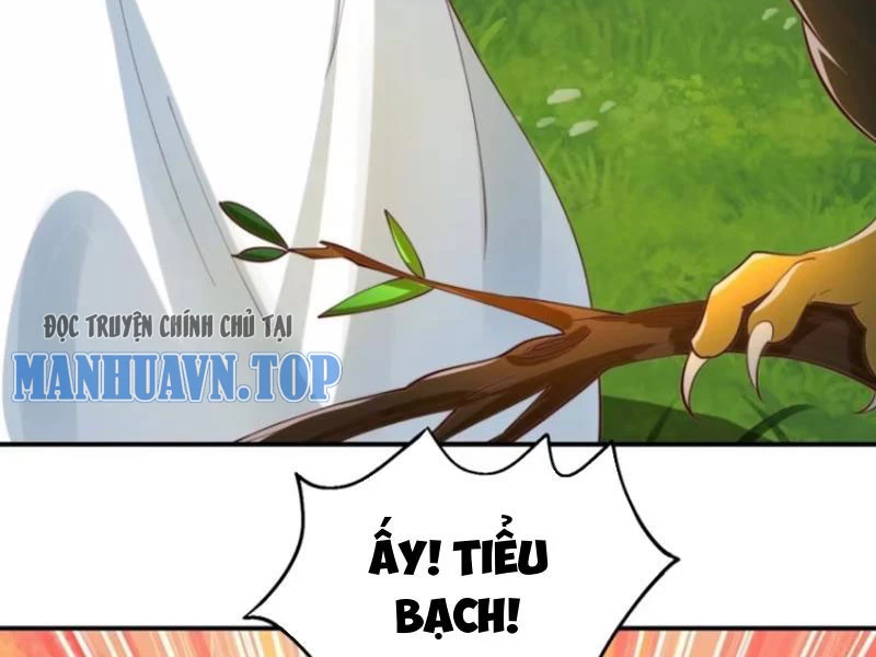 Ta Thực Sự Không Muốn Làm Thần Tiên Chapter 38 - Trang 2