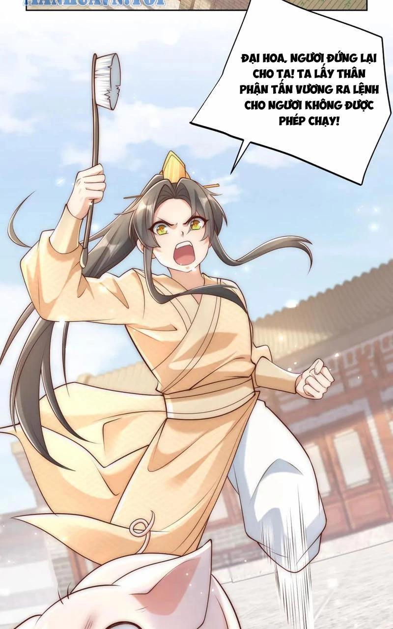 Ta Thực Sự Không Muốn Làm Thần Tiên Chapter 39 - Trang 2