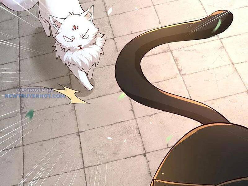 Ta Thực Sự Không Muốn Làm Thần Tiên Chapter 69 - Trang 2