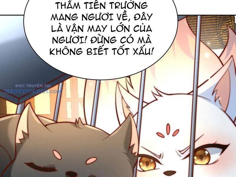 Ta Thực Sự Không Muốn Làm Thần Tiên Chapter 70 - Trang 2