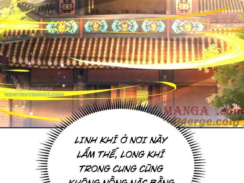 Ta Thực Sự Không Muốn Làm Thần Tiên Chapter 70 - Trang 2