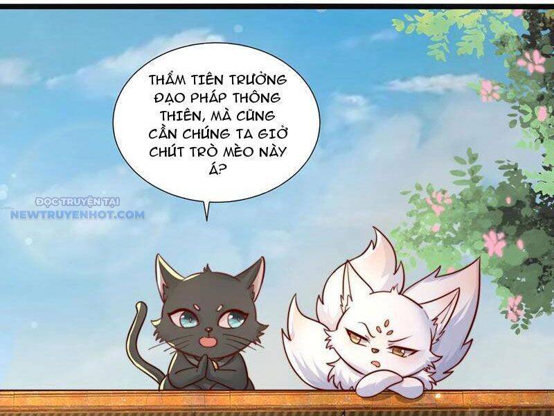 Ta Thực Sự Không Muốn Làm Thần Tiên Chapter 77 - Trang 2