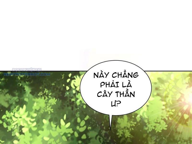 Ta Thực Sự Không Muốn Làm Thần Tiên Chapter 81 - Trang 2