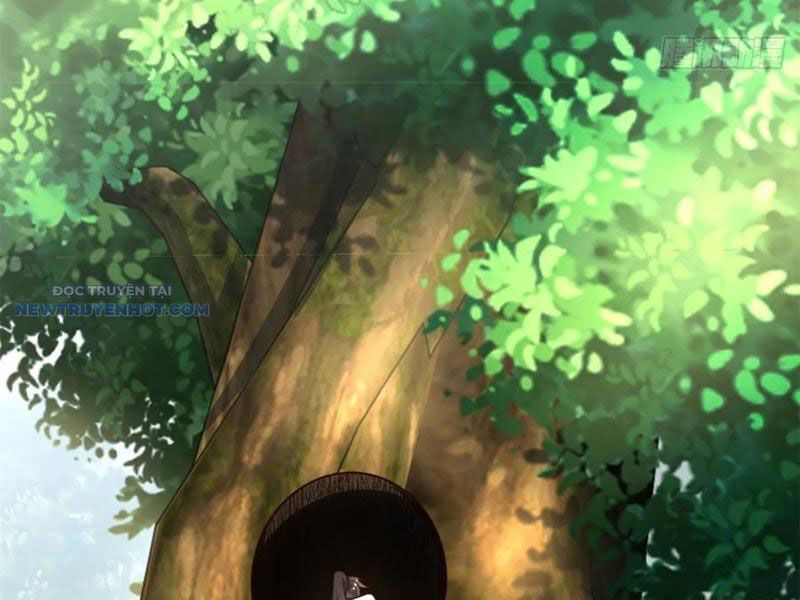Ta Thực Sự Không Muốn Làm Thần Tiên Chapter 82 - Trang 2