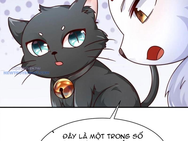 Ta Thực Sự Không Muốn Làm Thần Tiên Chapter 84 - Trang 2