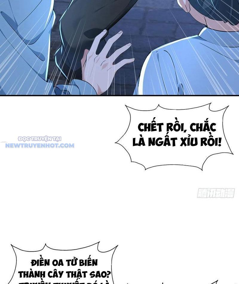 Ta Thực Sự Không Muốn Làm Thần Tiên Chapter 86 - Trang 2