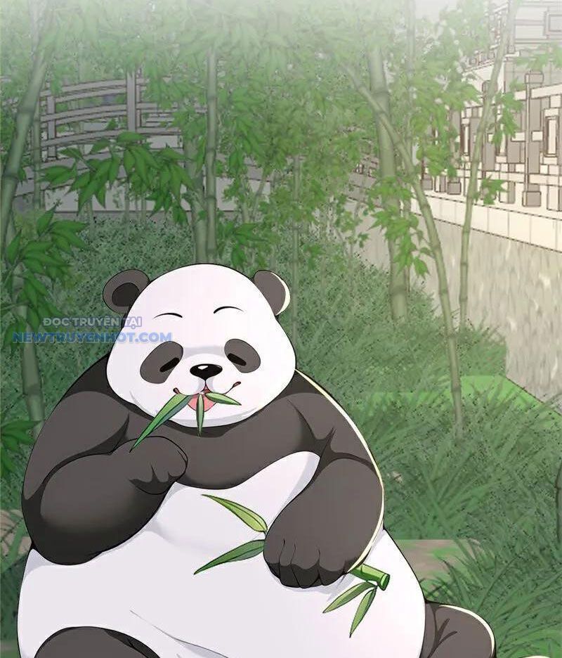 Ta Thực Sự Không Muốn Làm Thần Tiên Chapter 109 - Trang 2