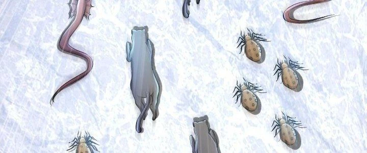 Thẻ Bài Của Tôi Có Thể Hợp Thành Vô Hạn Chapter 7 - Trang 2