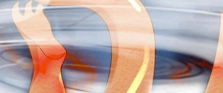 Thẻ Bài Của Tôi Có Thể Hợp Thành Vô Hạn Chapter 21 - Trang 2