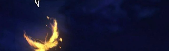 Thích Đuôi Lớn Thì Sao? Chapter 9 - Trang 2