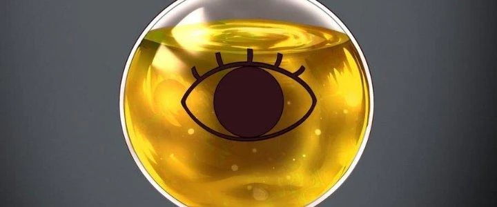 Thích Đuôi Lớn Thì Sao? Chapter 9 - Trang 2