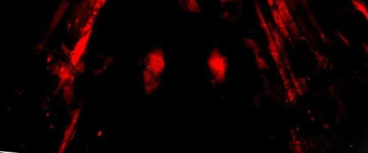 Thích Đuôi Lớn Thì Sao? Chapter 10 - Trang 2