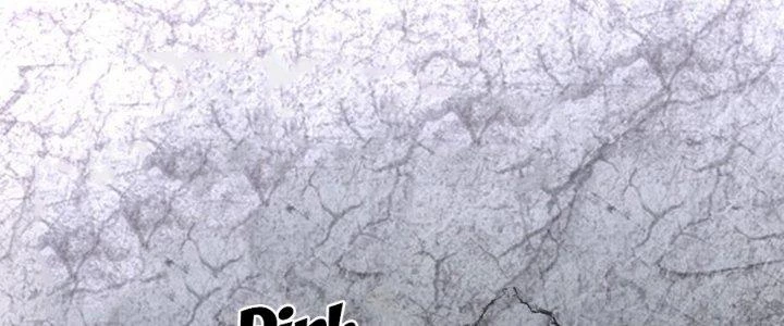 Thích Đuôi Lớn Thì Sao? Chapter 15 - Trang 2