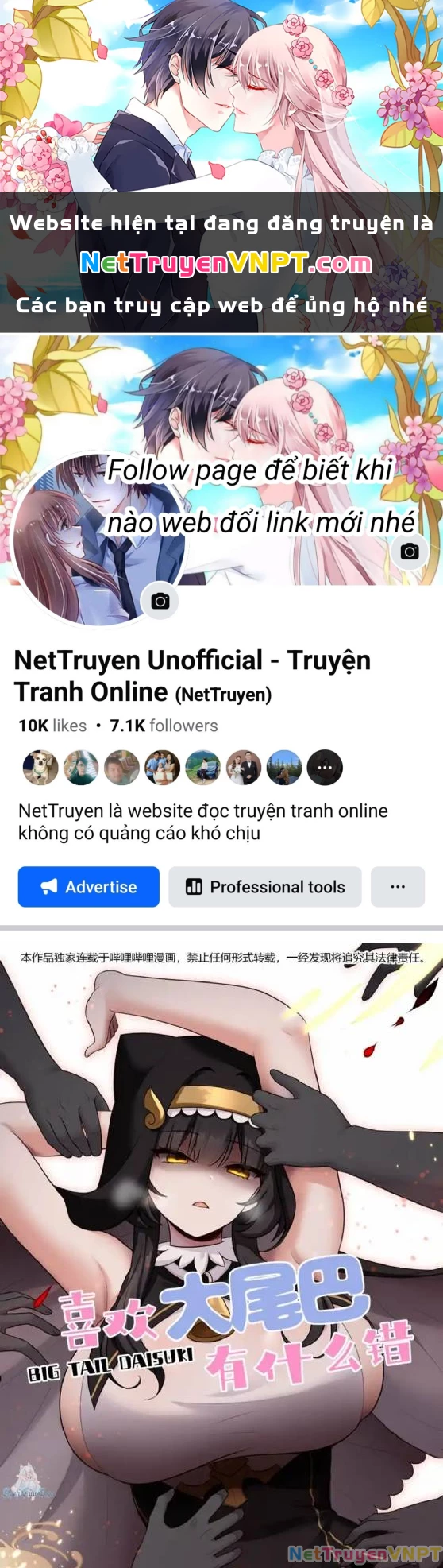 Thích Đuôi Lớn Thì Sao? Chapter 40 - Trang 2