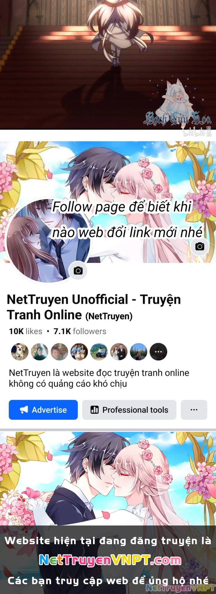 Thích Đuôi Lớn Thì Sao? Chapter 49 - Trang 2