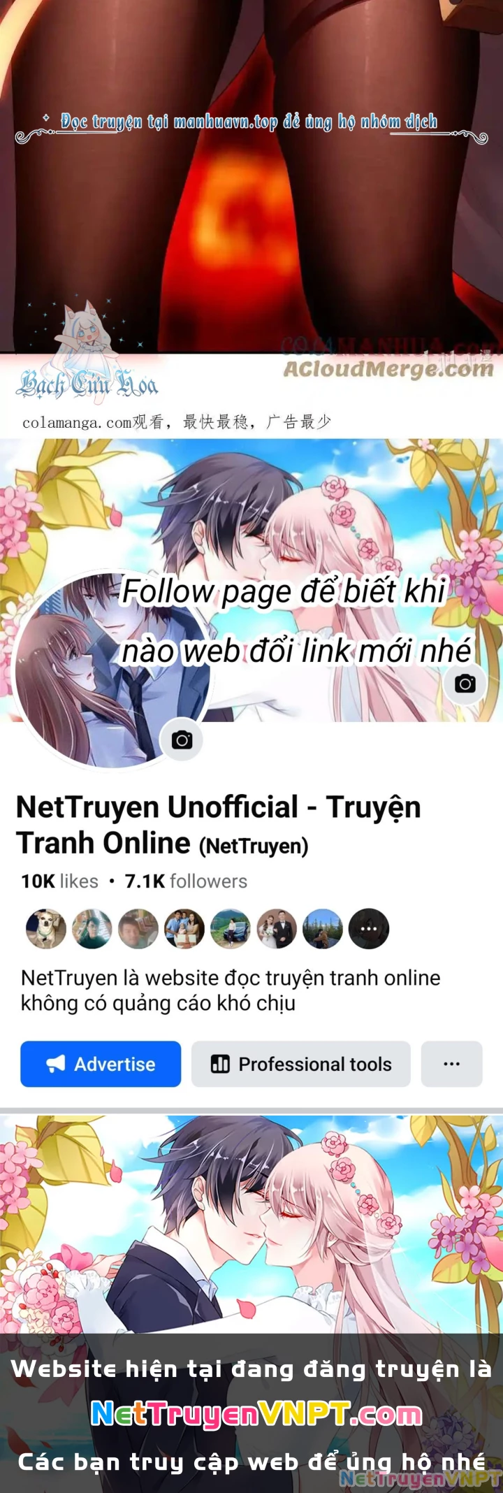 Thích Đuôi Lớn Thì Sao? Chapter 60 - Trang 2