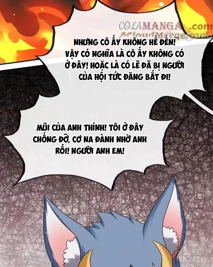 Thích Đuôi Lớn Thì Sao? Chapter 62 - Trang 2