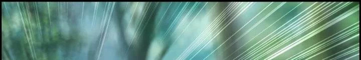 Tôi Một Tay Thống Trị Trò Chơi Chapter 41 - Trang 2