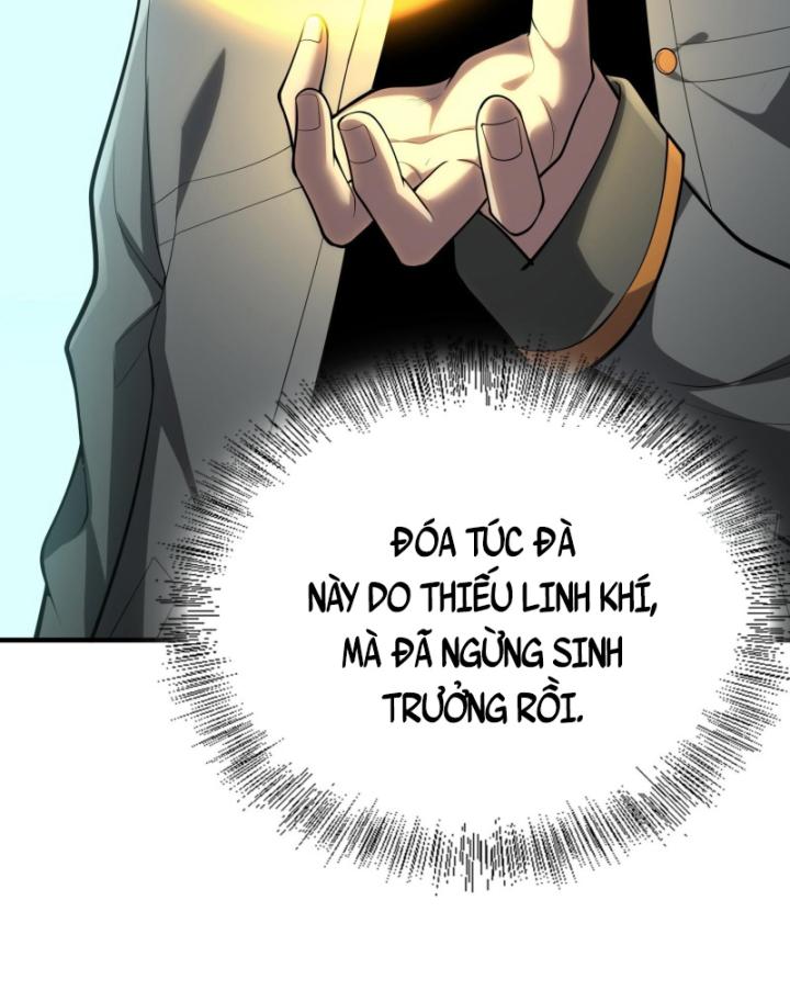 Toàn Trí Tu Tiên Giả Chapter 25 - Trang 2