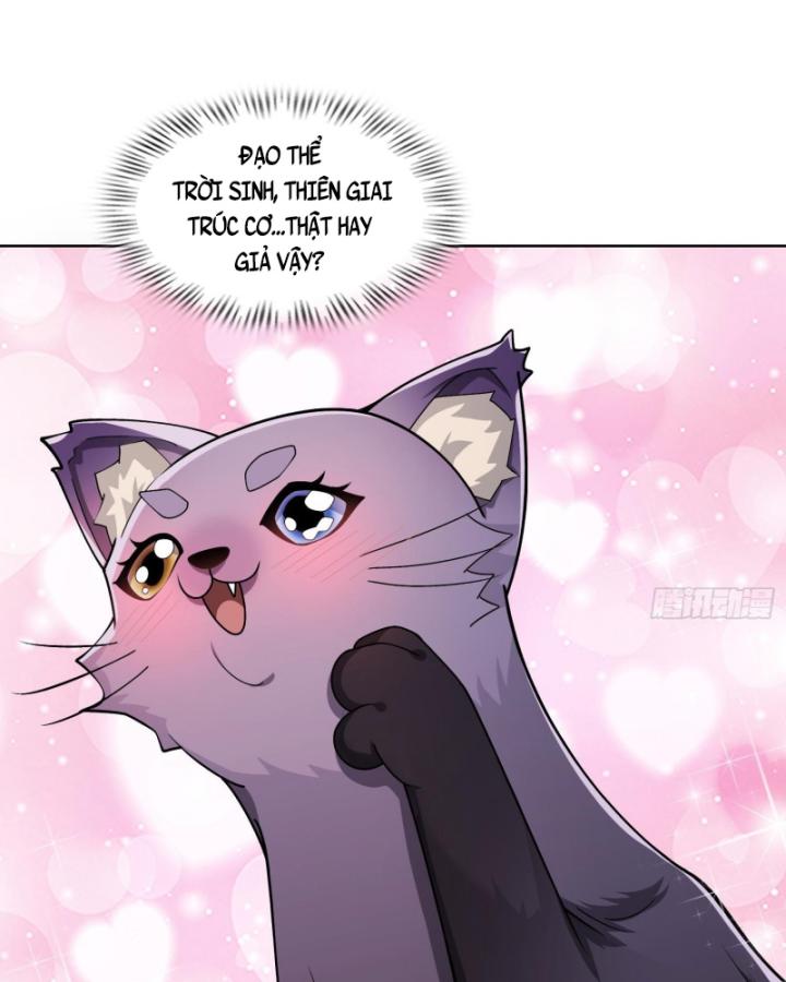 Toàn Trí Tu Tiên Giả Chapter 27 - Trang 2