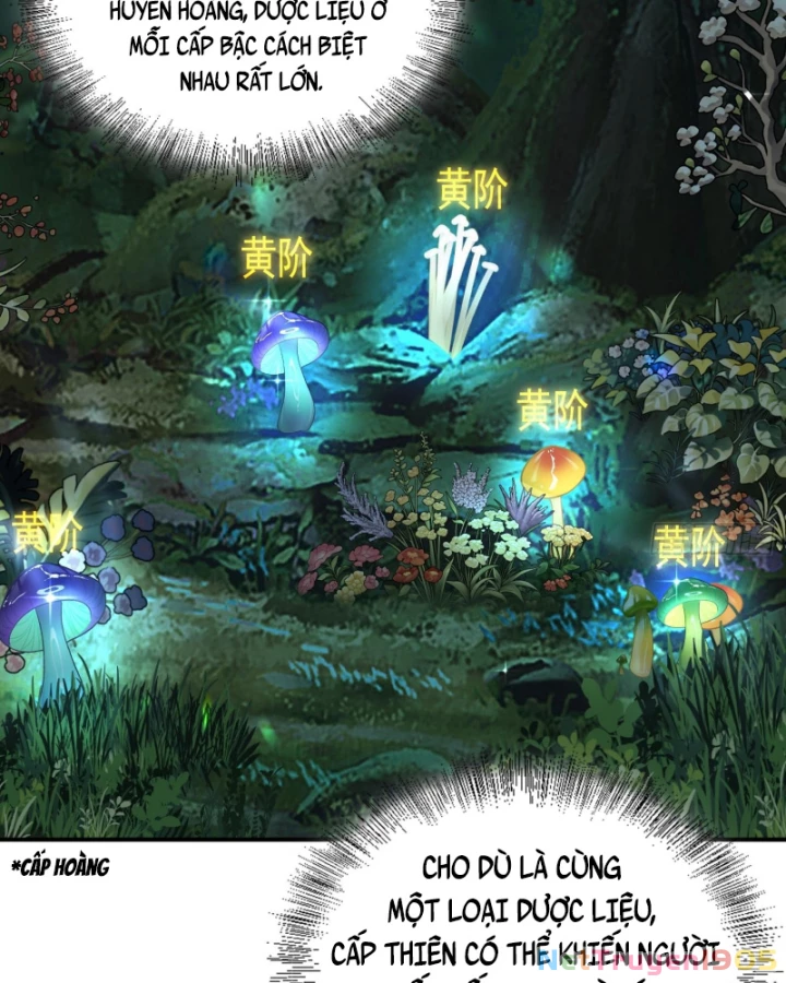 Toàn Trí Tu Tiên Giả Chapter 33 - Trang 2