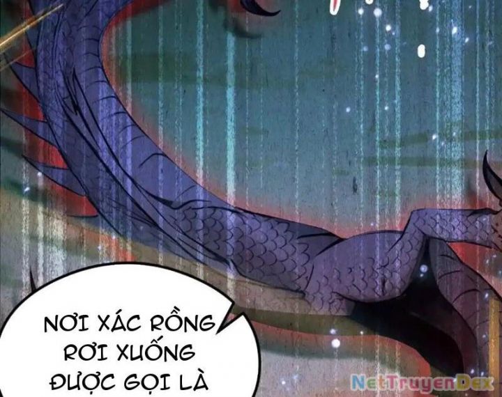 Quá Ảo! Ta Mở Lớp Đào Tạo Nữ Đế Chapter 64 - Trang 2