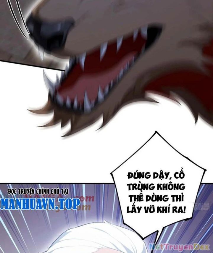 Quá Ảo! Ta Mở Lớp Đào Tạo Nữ Đế Chapter 65 - Trang 2