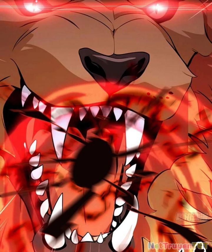 Quá Ảo! Ta Mở Lớp Đào Tạo Nữ Đế Chapter 67 - Trang 2