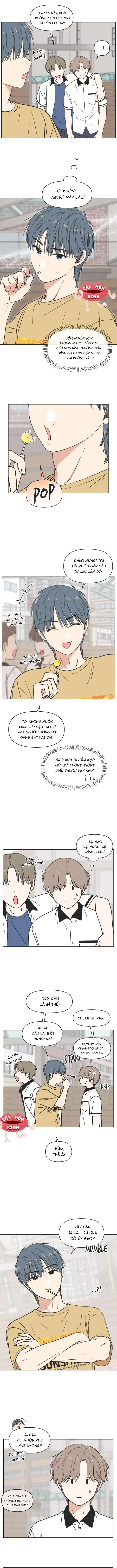 Thanh Xuân Đáng Yêu Chapter 28 - Trang 2