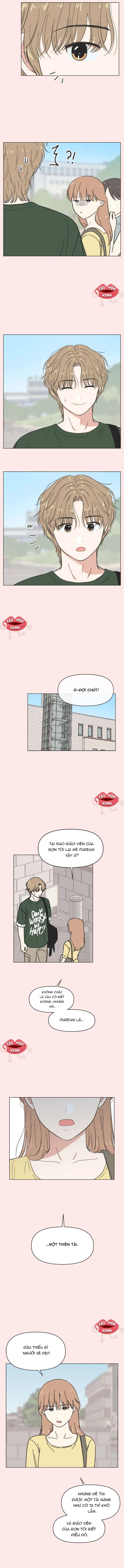 Thanh Xuân Đáng Yêu Chapter 39 - Trang 2