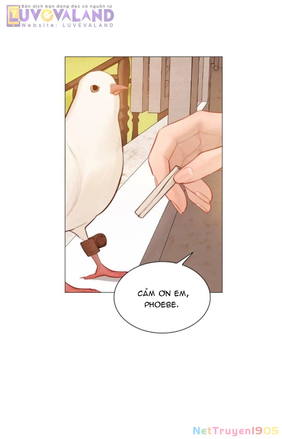 Hãy Khóc Và Cầu Nguyện Đi Chapter 52 - Trang 2