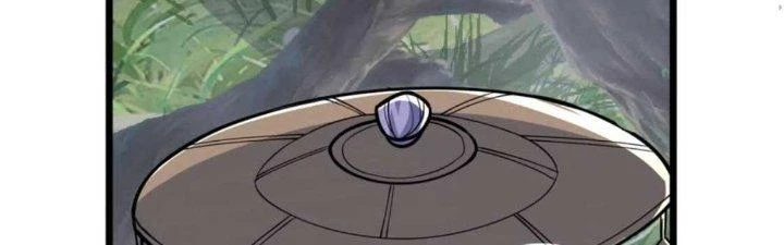 Chí Tôn Hoàn Mỹ Chapter 26 - Trang 2