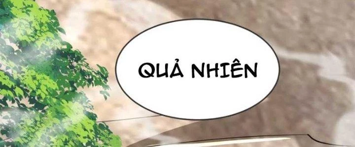 Chí Tôn Hoàn Mỹ Chapter 26 - Trang 2
