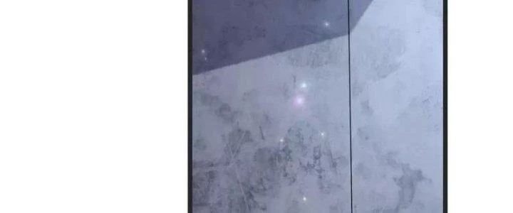 Chí Tôn Hoàn Mỹ Chapter 27 - Trang 2