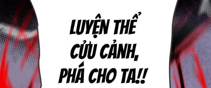 Chí Tôn Hoàn Mỹ Chapter 27 - Trang 2