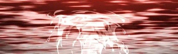 Chí Tôn Hoàn Mỹ Chapter 27 - Trang 2