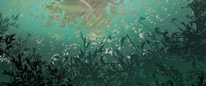 Chí Tôn Hoàn Mỹ Chapter 31 - Trang 2
