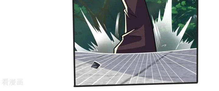 Chí Tôn Hoàn Mỹ Chapter 43 - Trang 2