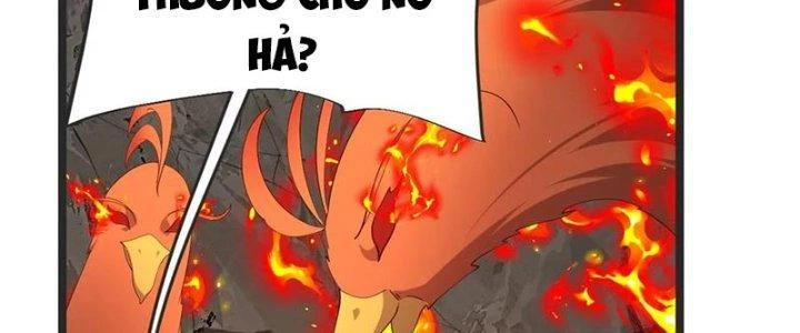 Chí Tôn Hoàn Mỹ Chapter 49 - Trang 2