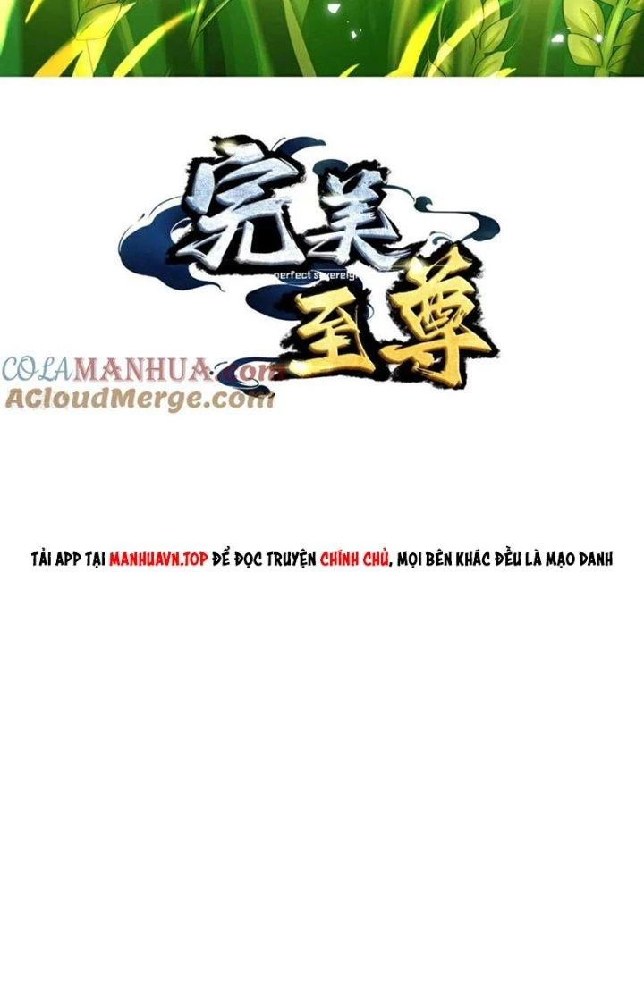 Chí Tôn Hoàn Mỹ Chapter 80 - Trang 2