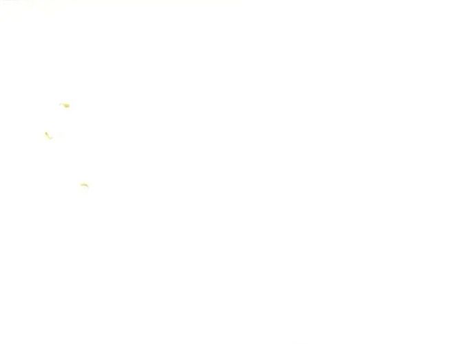 Công Chúa Ashtarte Chapter 85 - Trang 2